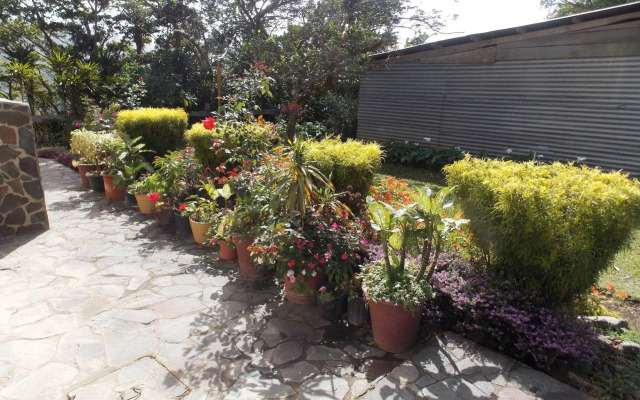 Hotel Las Orquideas