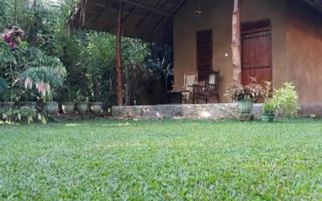 Private Organic House