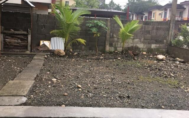 Pines Mansion II House