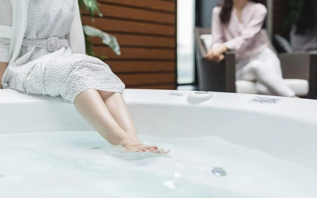 Hotel Asyl Tokyo Kamata