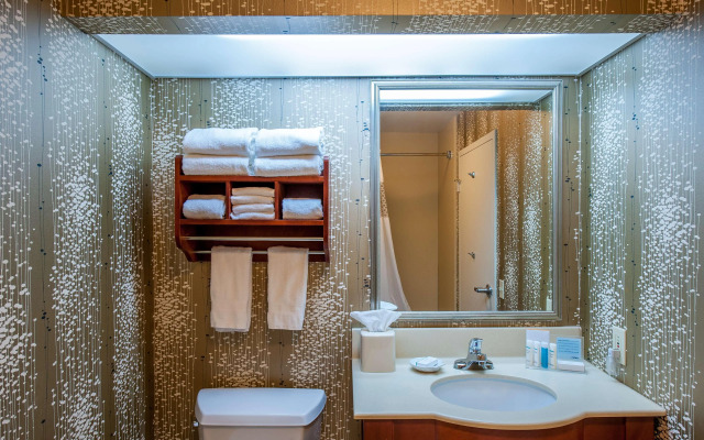 Hampton Inn by Hilton Bowling Green