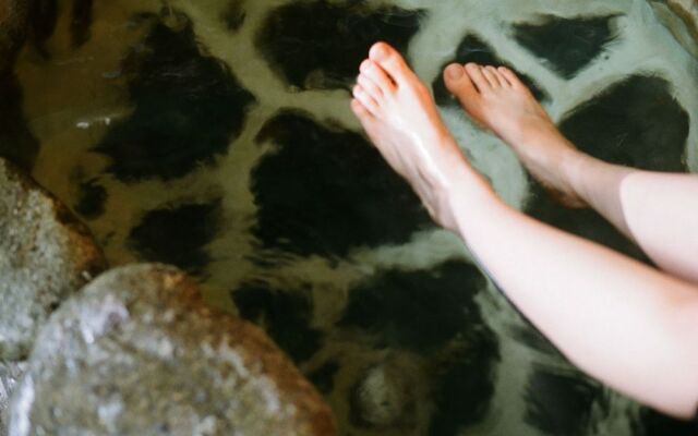 Hakonowa Hot spring inn