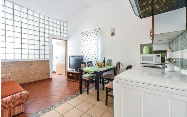Amazing Home in Mandre With Wifi and 1 Bedrooms