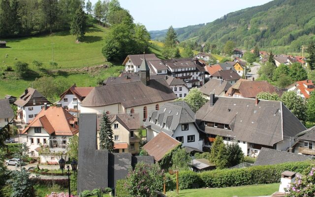 Tranquil Apartment in Elzach with Private Garden