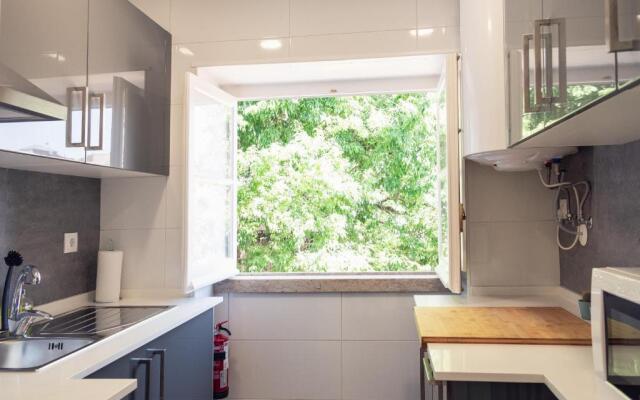 Casas do Bairro Conqvistador