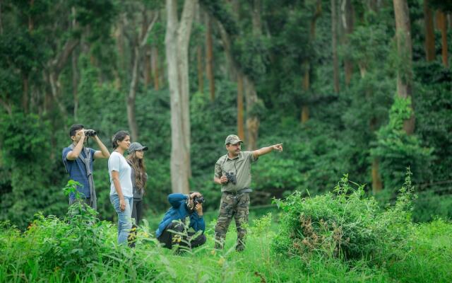 Ama Plantation Trails , Chikmagalur