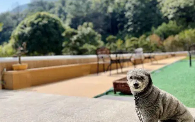 D‘Happy Farm House