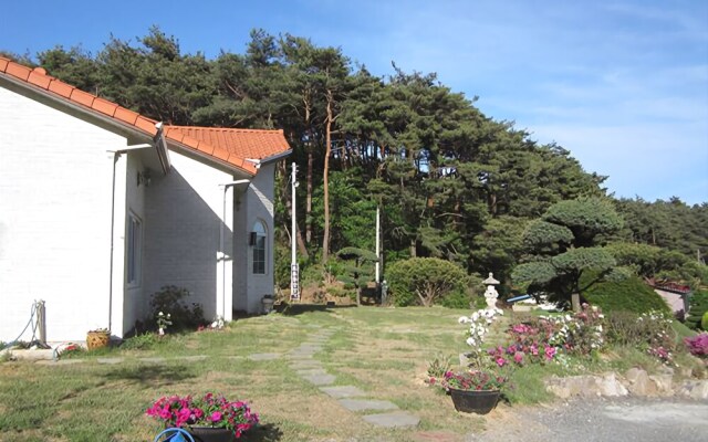 Seosan Pinehealing Pension