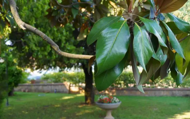 Agriturismo Villa Isa