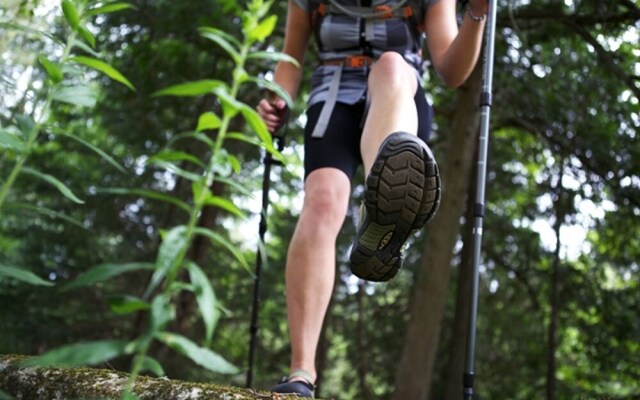 Chimo Refuges Treehouse Resort