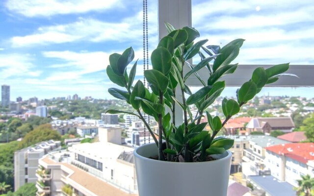 Bright 1 Bedroom Studio With Amazing City Views