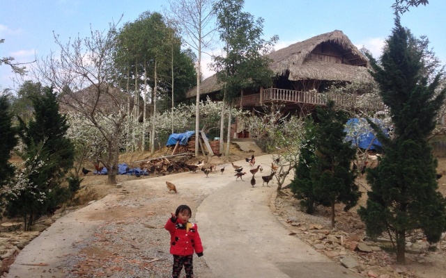 Sa House Bac Ha — 3-star hotel in Bac Ha