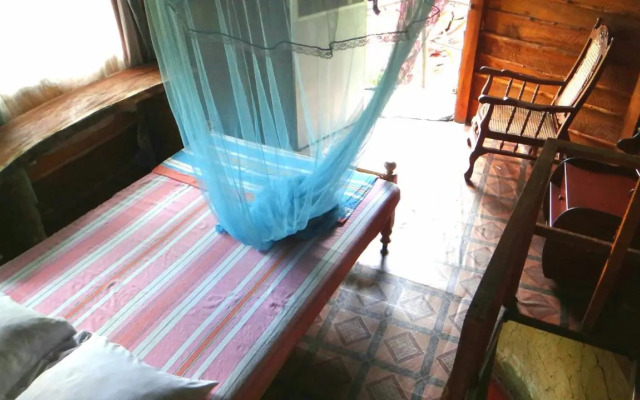 Rural Jungle Backpackers Hostel