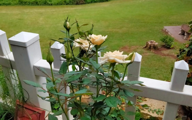 Thiseldoo Holiday Home