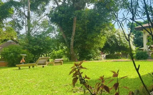 Ruwenzori View Guest House