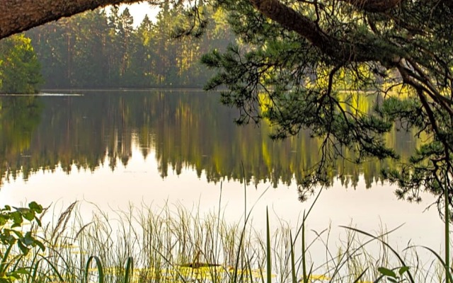 Saarj¿e puhkemaja tuba koos hommikus¿¿giga