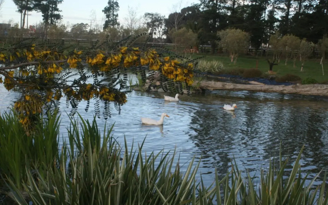 The Peppertree Luxury Accommodation