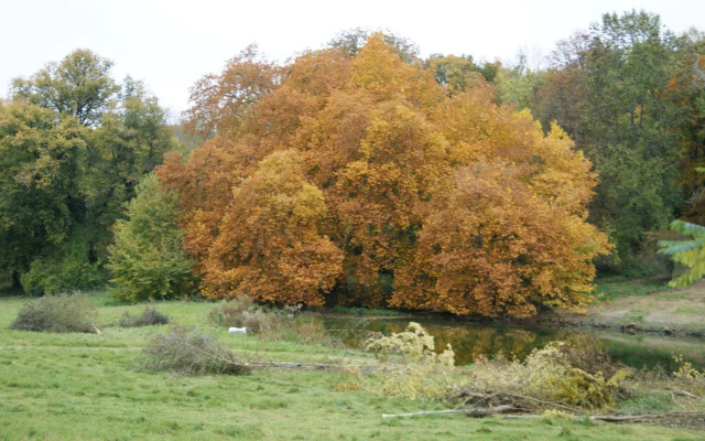 Château de la Bûcherie