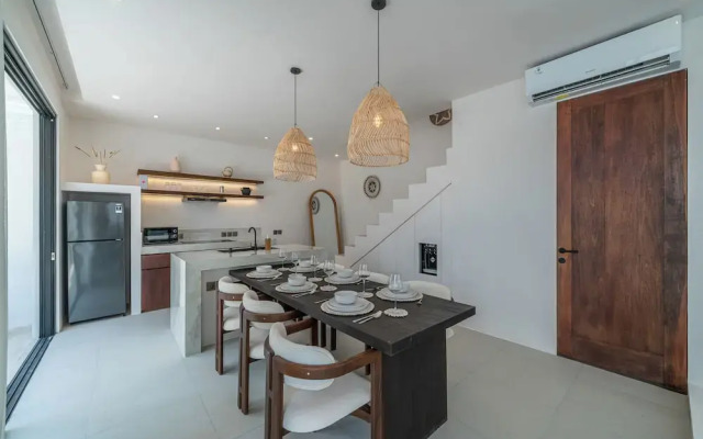 Nova Oasis 4
