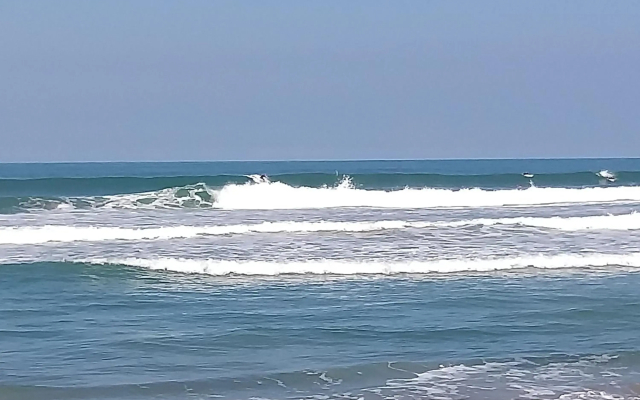 Suítes Rosa Mar Itamambuca