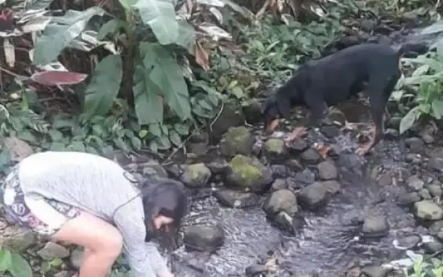 Hotel Pacuare Turrialba