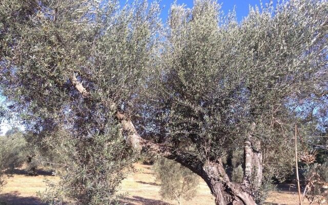 B&B Le buche Casa storica