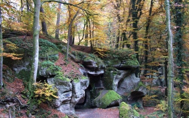 Meyer