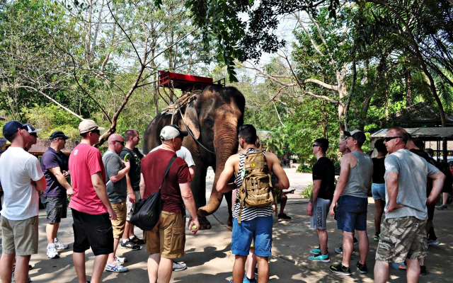 The Jungle House Khaoyai