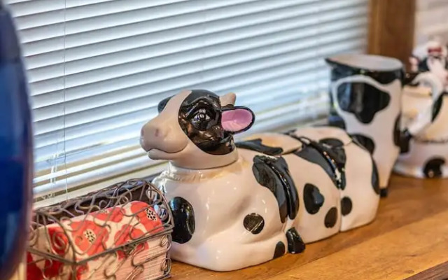 The Spotted Cow City Fringe Pet-friendly