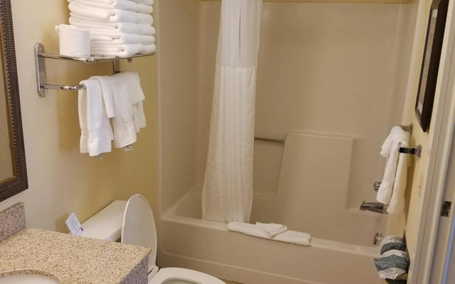 Comfort Inn at the Park