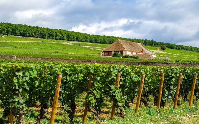 voco Beaune – Cité des Vins by IHG