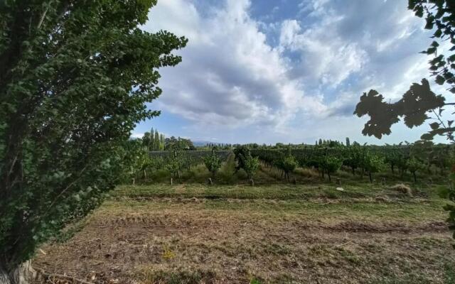 Guest House Entre Viñedos