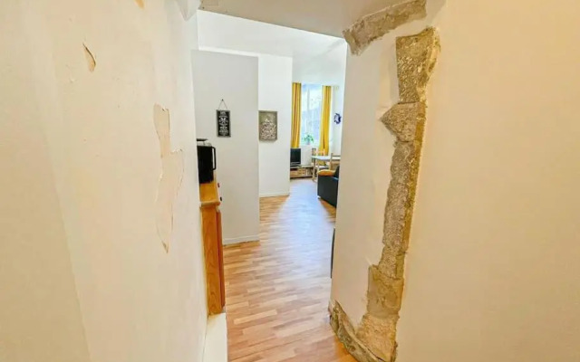 Cosy Orgozo - T1- Hypercentre Quartier du Château