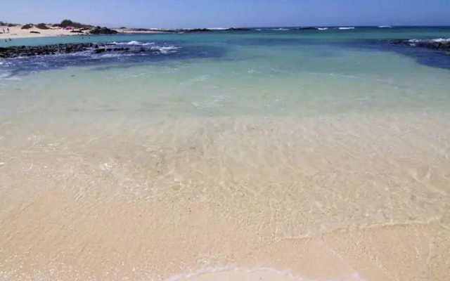 Bravo´s Aparment Cotillo 2