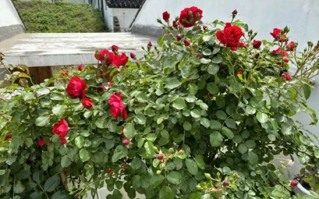 Suzhou Hemu Homestay