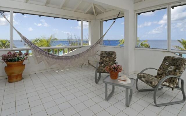 Sand Dollar Bonaire