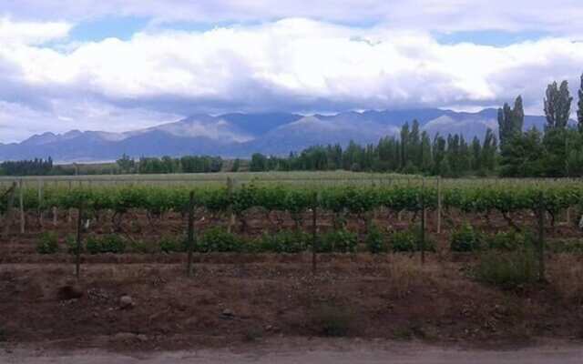 Apartamento entre viñedos