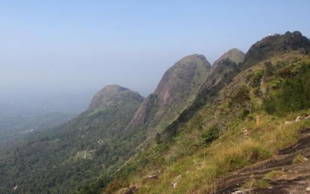 Bio Veda Ayurvedic Hill resort