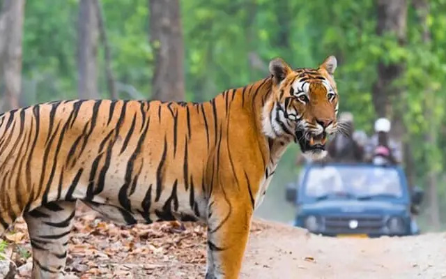 Wild Pastures by nature resorts & stays