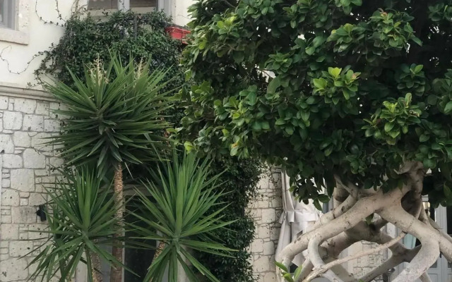 Triangulo Hotel
