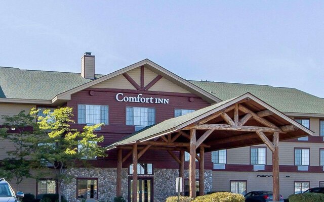 Comfort Inn Owatonna near Medical Center