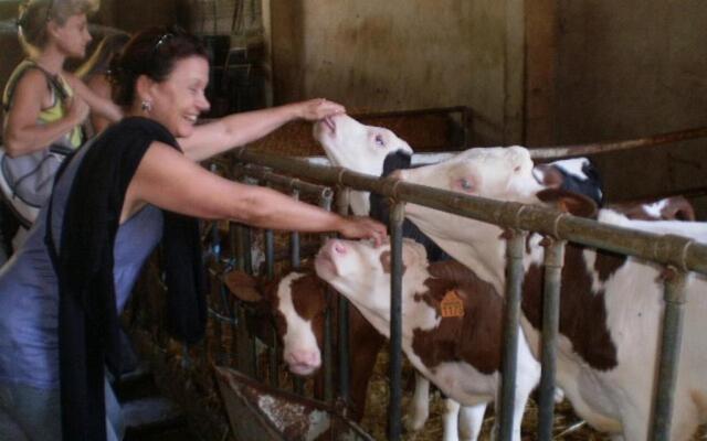 Tandem de choc - Neige et Soleil