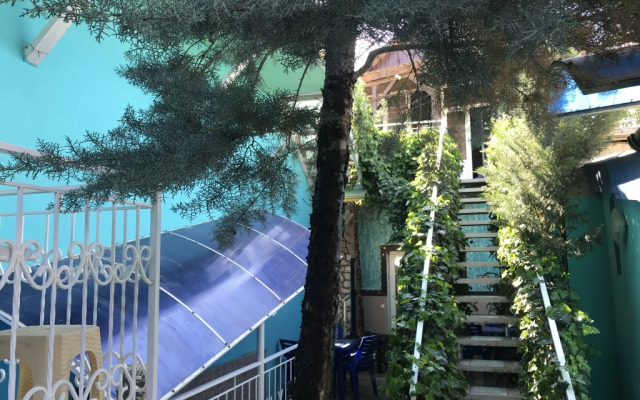 Magic Patio