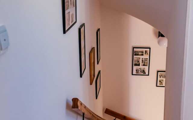 Apartment Bigovo Veljic-traste