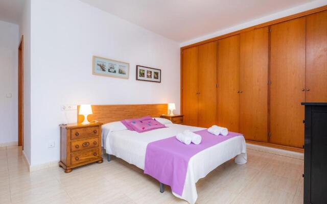 La Vinya del Beato 1950