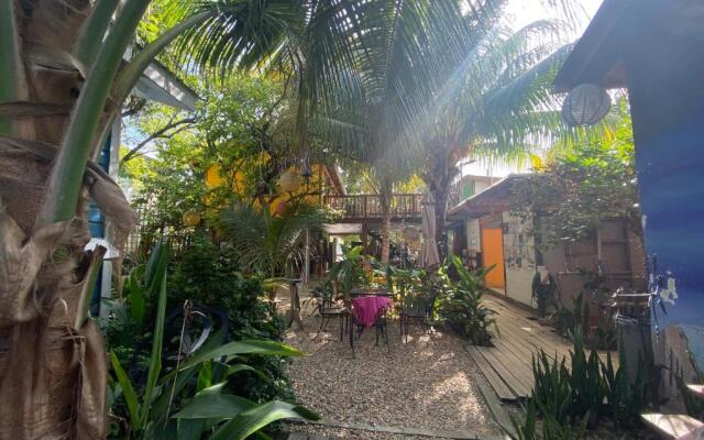 The Funky Dodo Backpackers Hostel