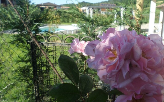 Laura's Country Resort