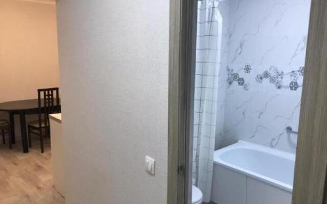 Flat 1 bedroom 1 bathroom - Almaty