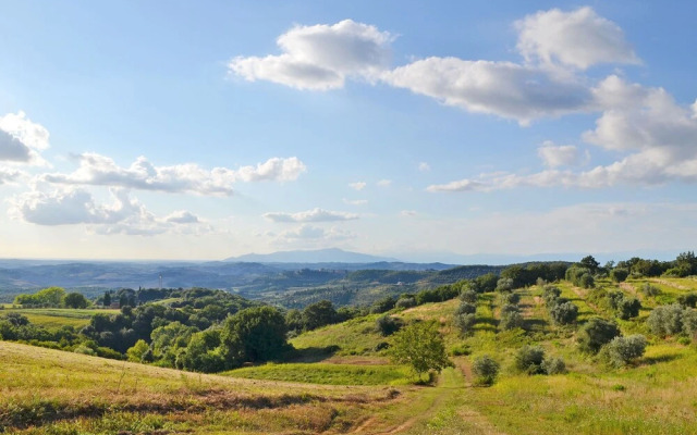 San Vivaldo Nr 2 San Vivaldo