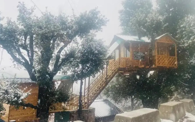 Manali Treehouse And Cafe